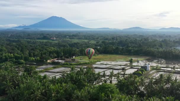 Het Luft Ballong Stiger Över Risfält Ubud Bali Vid Soluppgången — Stockvideo