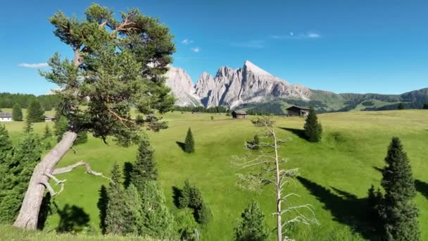 Vista Incrível Sobre Dolomites Pico Com Caminho Caminhada Que Leva — Vídeo de Stock