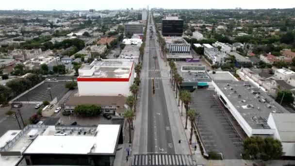 Wilshire Boulevard Egy Hosszú Utca Los Angeles Kalifornia Amely Magában — Stock videók