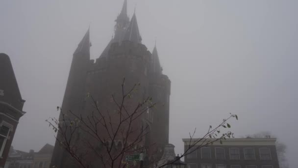 Castello Medievil Nella Nebbia — Video Stock