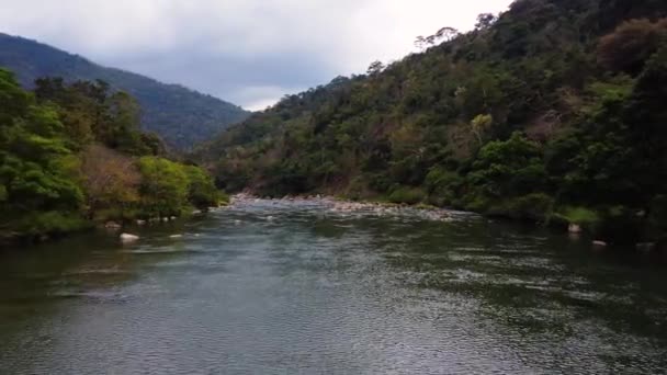 Vol Aérien Basse Altitude Dessus Fleuve Dans Paysage Tropical Luxuriant — Video