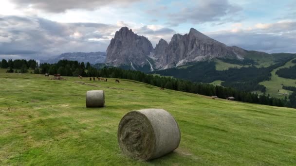 Vue Imprenable Sur Sommet Des Dolomites Avec Sentier Randonnée Menant — Video