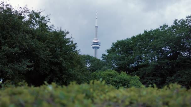 Toronto Iconic City Widok Budynku Centrum Nabrzeża Wieża Oprawiona Między — Wideo stockowe