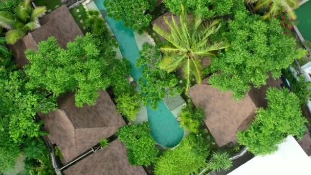 Lucht Top Cirkelen Een Tropisch Zwembad Villa Met Kokosnoot Boom — Stockvideo