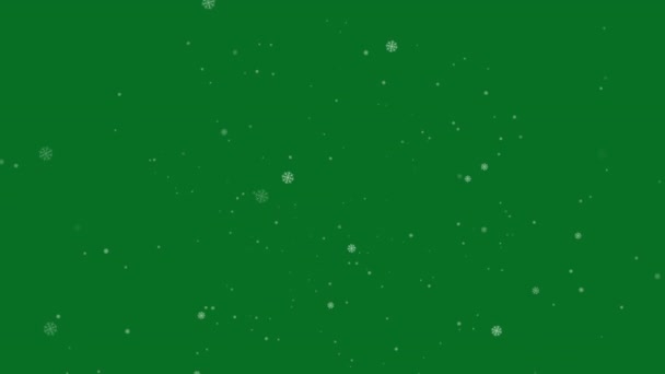 Christmas Snowfall Green Screen — 비디오