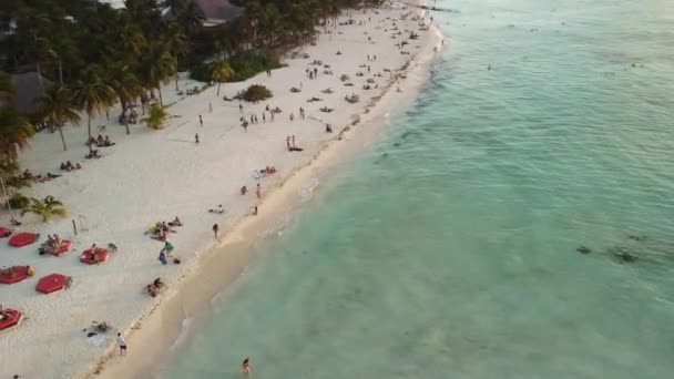 妇女岛的白沙 绿松石 水和海滩生物 — 图库视频影像