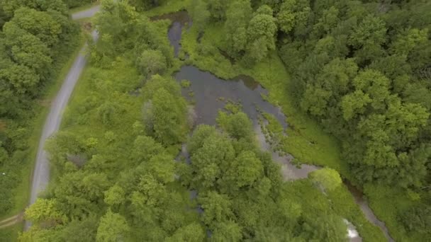 Lanzamiento Dron Inclinación Aérea Pequeño Estanque Parque Estatal Lyman Run — Vídeos de Stock