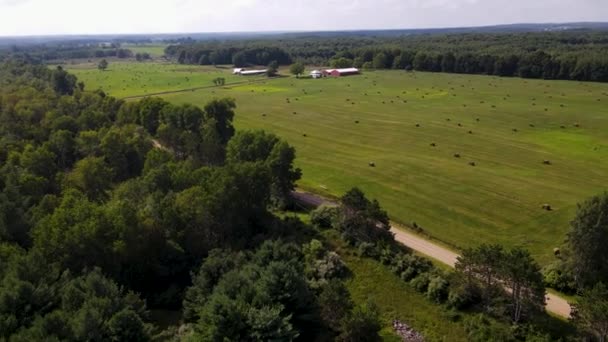 Pan Alrededor Para Mostrar Bosque Circundante — Vídeos de Stock