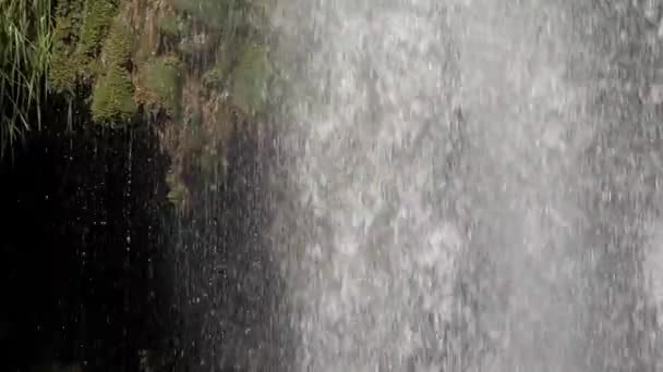 Cortina Agua Cerca Catarata Cascada Cuerpo Agua Cae Fuertemente Junto — Vídeos de Stock