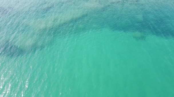 Ünlü Bagno Salvadori Yakınlarındaki Castiglioncello Sahil Tarafının Hava Görüntüsü Alan — Stok video