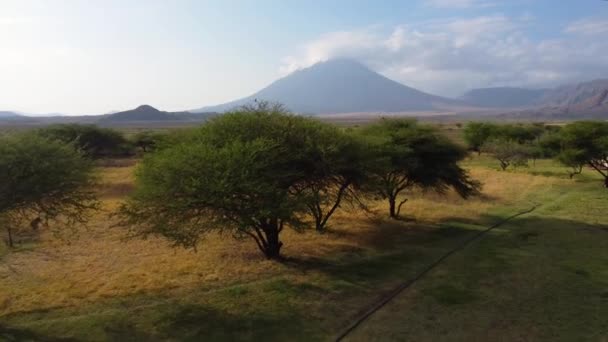 아름다운 비행기 날면서 북아프리카 탄자니아의 배경에 화산의 놀라운 광경을 찍었다 — 비디오