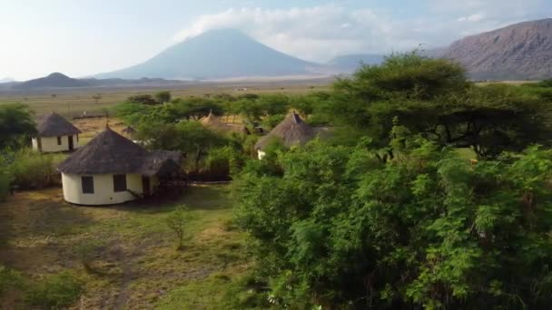 Eine Schöne Drohne Fliegt Über Die Baumwipfel Und Ein Afrikanisches — Stockvideo