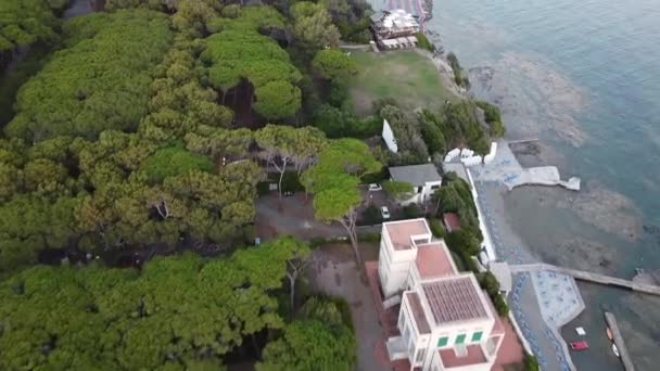 Castiglioncello Daki Cardellino Sahilinin Çam Ağacı Fotoğrafı Alan Kayalık Plajlarının — Stok video