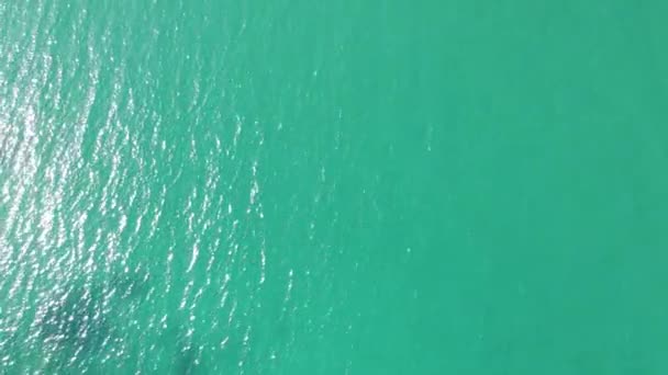 Krystalicznie Czysta Woda Wybrzeżu Castiglioncello Pobliżu Słynnego Bagno Salvadori Lotnictwo — Wideo stockowe