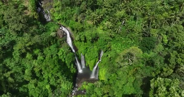 Cachoeira Impressionante Fiji Escondida Exuberante Selva Tropical Verde Bali Aérea — Vídeo de Stock