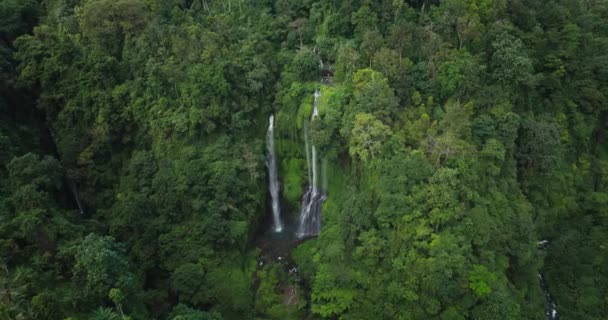 Sekumpul Triple Cascades Dans Jungle Tropicale Luxuriante Lunatique Paradis Dans — Video