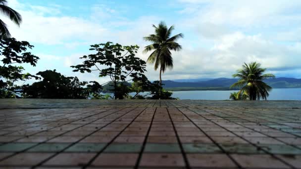 Blick Über Den Äquator Wir Die Aussicht Mit Palmen Und — Stockvideo