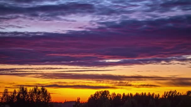 Eine Bunt Geschichtete Sonnenuntergangswolkenlandschaft Über Einem Wald Zeitraffer — Stockvideo