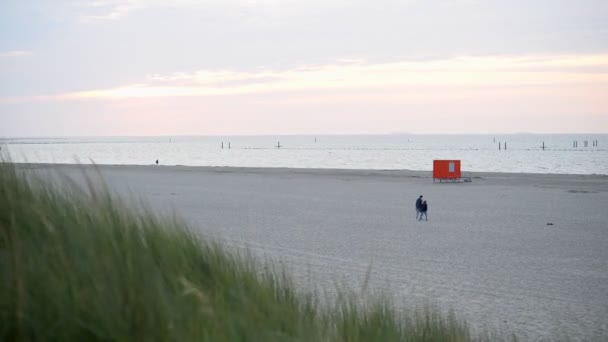 在北海的荷兰海滩上俯瞰沙丘和沙丘的景观 — 图库视频影像