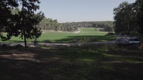 Drone Vuela Entre Los Árboles Del Bosque Campo Trigo Verde — Vídeo de stock