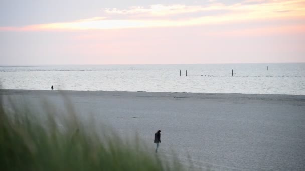 Amplio Tiro Una Playa Arena Del Mar Del Norte Los — Vídeos de Stock