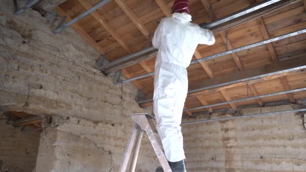 Man Checking Wood Framework Axe Damages Due Nudný Hmyz Statické — Stock video