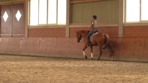 Žena Drezurní Jezdec Chůzi Koně Během Zahřívání Sledování Záběru — Stock video