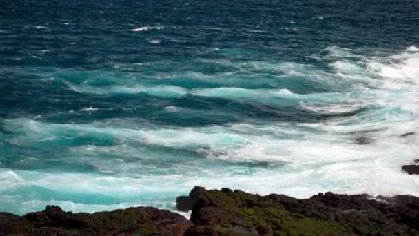 在加拉帕戈斯的Punta Suarez的岩石海岸线上 海水通过爆破孔喷涌而出 慢动作 — 图库视频影像