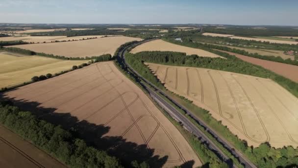 Letecký Dron Vpřed Pohybující Záběr Dálnice Probíhající Zralými Pšeničnými Poli — Stock video