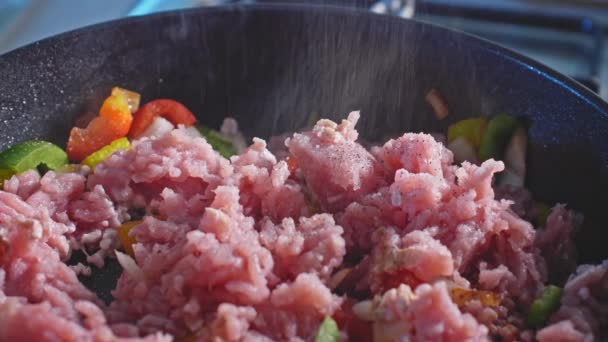 Saupoudrer Épices Herbes Pour Broyer Dinde Poivron Dans Une Casserole — Video