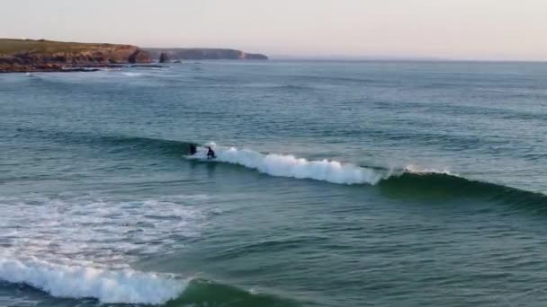 Surfeurs Profitant Des Vagues Bord Plage Cornwall Royaume Uni Vue — Video