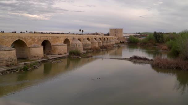 Знаменитый Римский Мост Кордове Испания Рекой Пасмурный День — стоковое видео