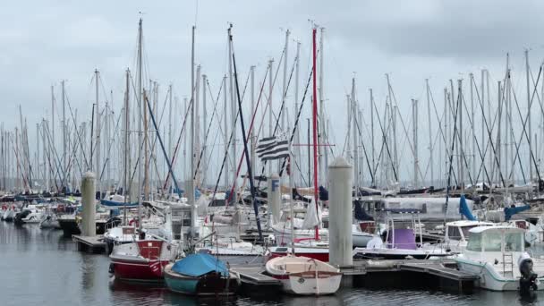 Vloot Zeilboten Gebonden Aan Dokken Brest Frankrijk Jachthaven — Stockvideo