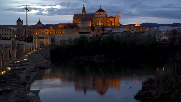 Piękne Iluminacje Kościoła Mezquita Kordobie Hiszpanii Odbiciami Rzek — Wideo stockowe