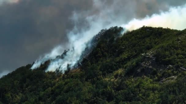 Légi Kilátás Egy Nagy Erdőtűz Égő Dohányzás Montains — Stock videók