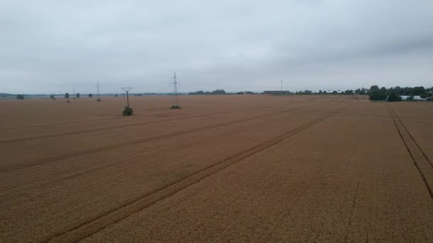 Aerial Side View Harvested Wheat Field Wheel Ruts Cloudy Day — Stock Video