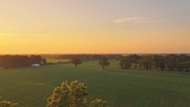 Scheune Auf Bohnenfarm Bei Sonnenuntergang — Stockvideo