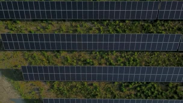 Lijnen Van Het Zonnepaneel Onlangs Geïnstalleerd Een Groene Energie Boerderij — Stockvideo