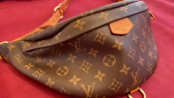 Skutečný Louis Vuitton Monogram Plátno Bumbag Luxusní Návrhář Banán Taška — Stock video