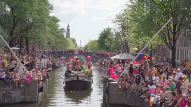 Folle Sostenitori Lgbtq Che Festeggiano Orgoglio Amsterdam — Video Stock