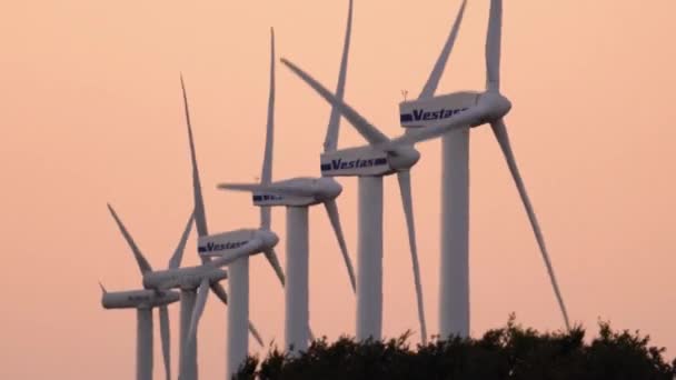 Technologie Moderne Ligne Multiples Éoliennes Vestas Énergies Renouvelables Coucher Soleil — Video