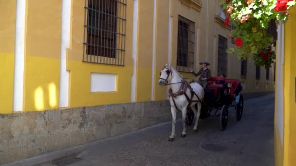 Famiglia Turistica Cavallo Carrozza Attraverso Città Vivace Colorata — Video Stock