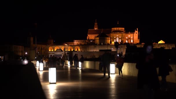Mensen Lopen Nachts Beroemde Romeinse Brug Cordoba Spanje Silhouet Schot — Stockvideo