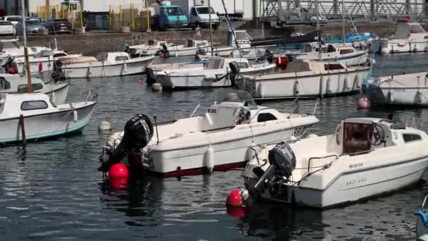 Variedade Pequenos Barcos Ancorados Bóias Flutuam Pacificamente Brest França — Vídeo de Stock