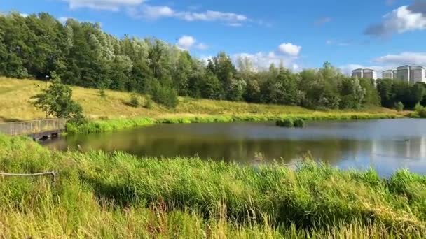 Sommer Schwenk Ufer Des Silksworth Lake Sunderland Großbritannien Grüne Bäume — Stockvideo