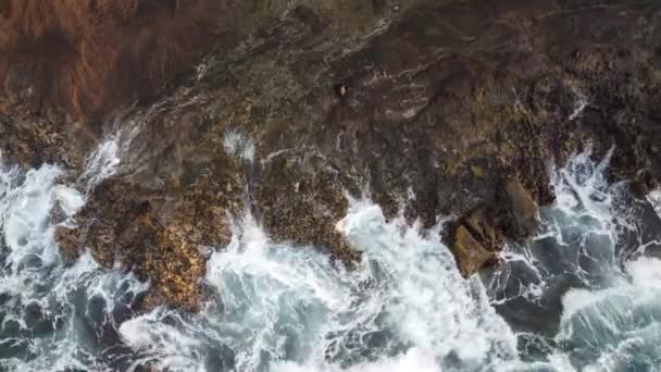 Close Rock Shore Lanai Lookout Hawaii Waves Hacking — Stock video