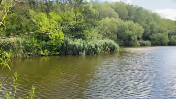 Sommer Schwenk Ufer Des Silksworth Lake Sunderland Großbritannien Grüne Bäume — Stockvideo