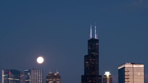 День Ночью Восход Луны Башни Уиллис Сирс Чикагского Горизонта Меткий — стоковое видео