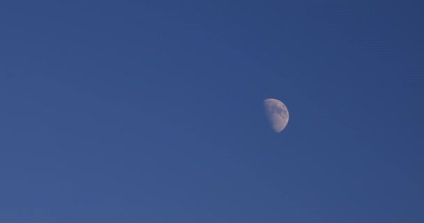 Mezza Luna Nel Cielo Blu Crepuscolo Prima Del Buio — Video Stock