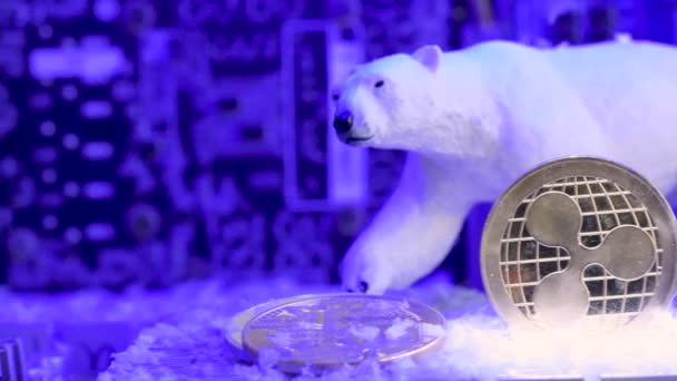 Ripple Xrp Snow Fall Polar Bear Монеты Frozen Обвал Концепции — стоковое видео